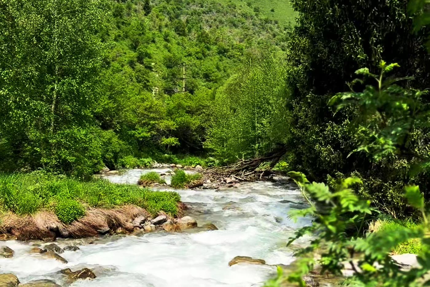 Almarasan Gorge and the Ayusay Waterfall